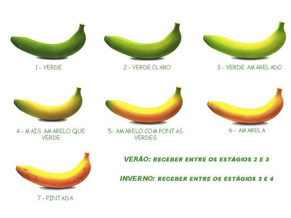 banane-grafic