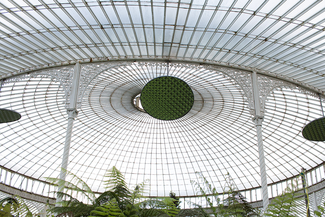 48 de ore in Glasgow, Scotia. Unde mergi, ce vizitezi si cateva ponturi 22 botanica-1