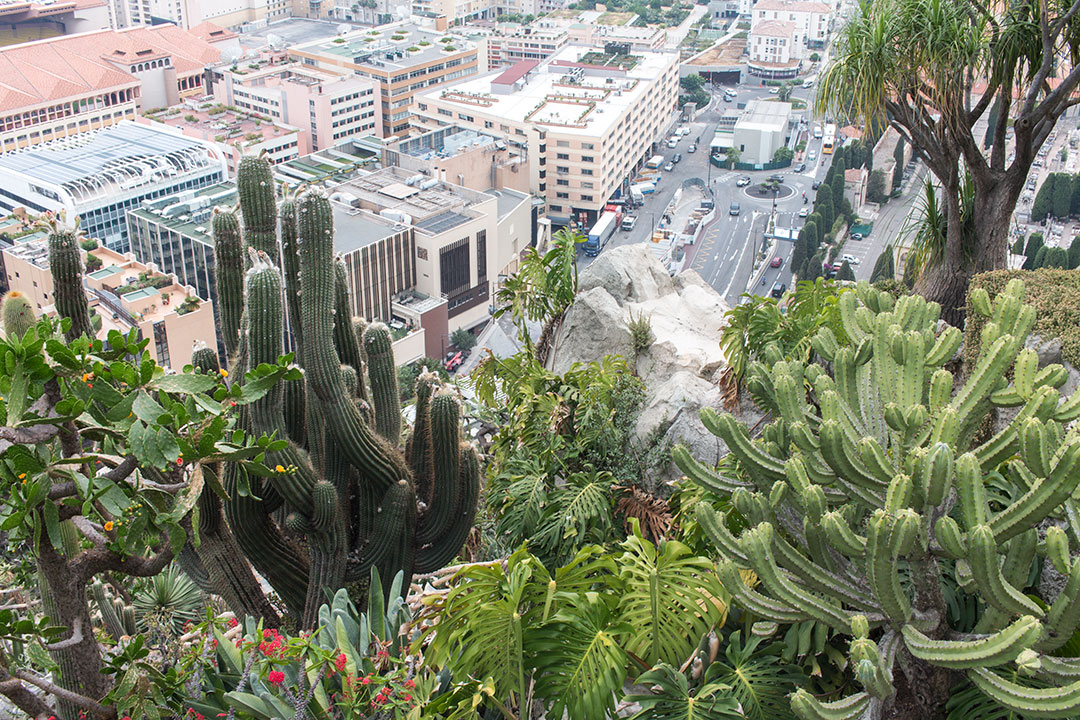 Gradinile exotice din Monaco si o priveliste superba spre Monte Carlo 20 gradini-exotice-20