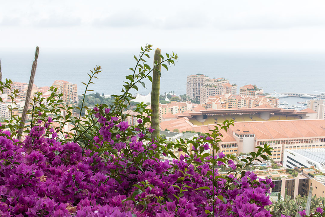 Gradinile exotice din Monaco si o priveliste superba spre Monte Carlo 8 gradini-exotice-8