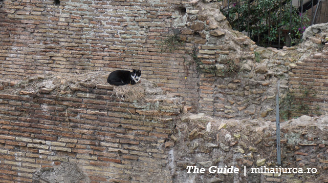 largo-di-torre-argentina-6