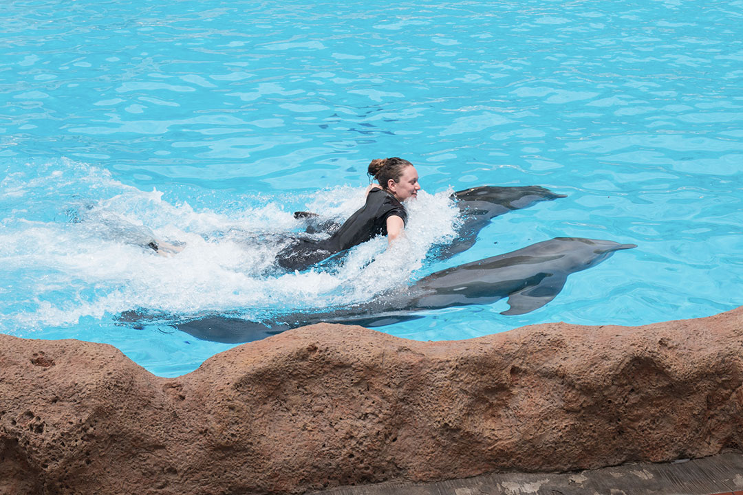 loro-parque-18