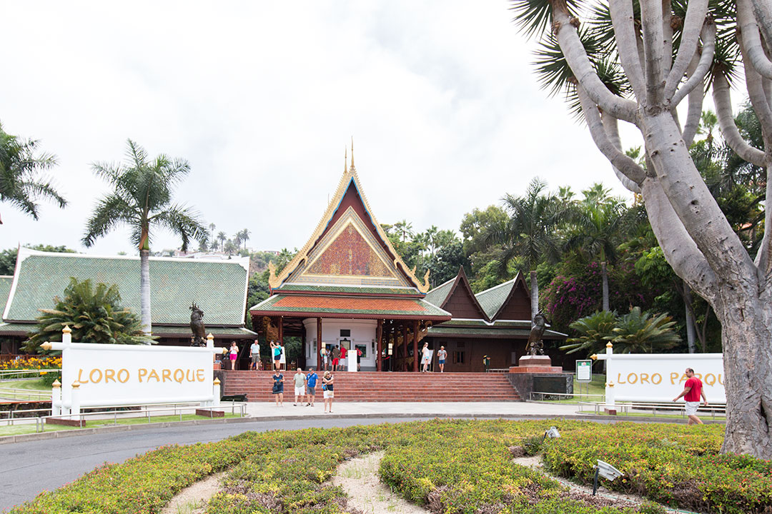 loro-parque-6