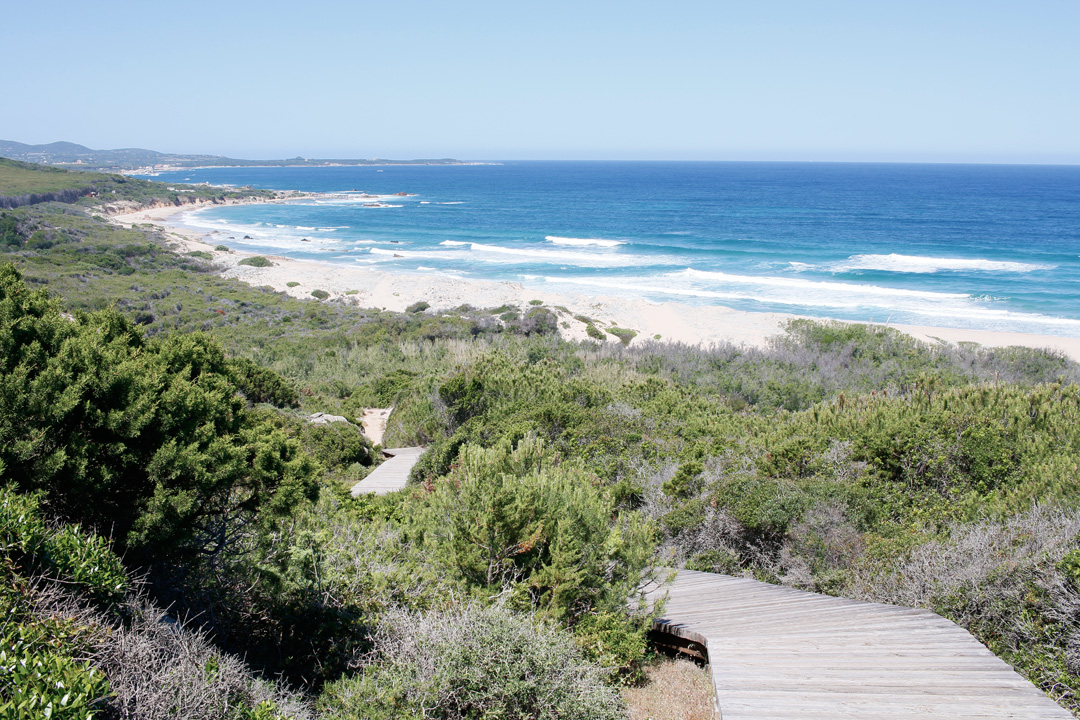 2 plaje salbatice din nordul Sardiniei - Monti Russu si Lu Littaroni 8 lu-litaronni-1