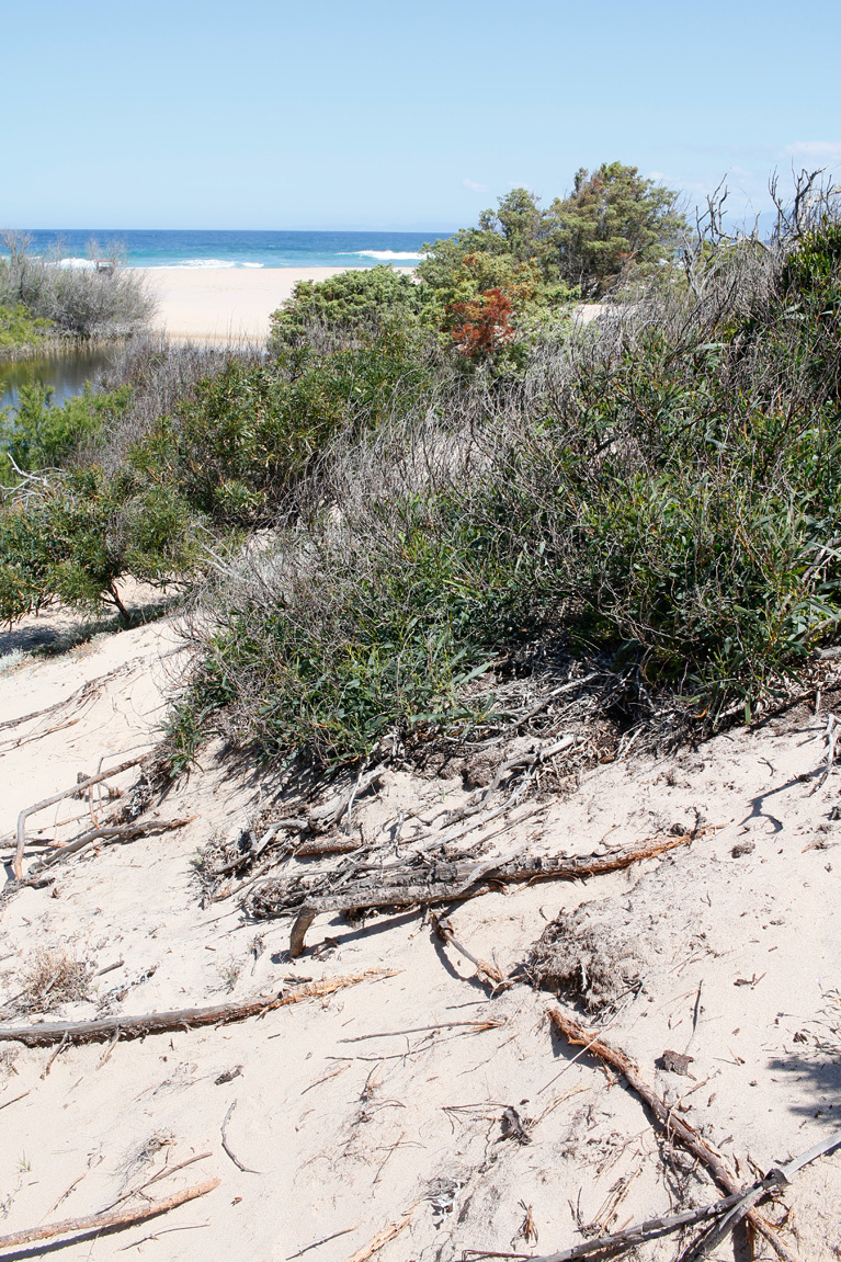 2 plaje salbatice din nordul Sardiniei - Monti Russu si Lu Littaroni 10 lu-litaronni-3