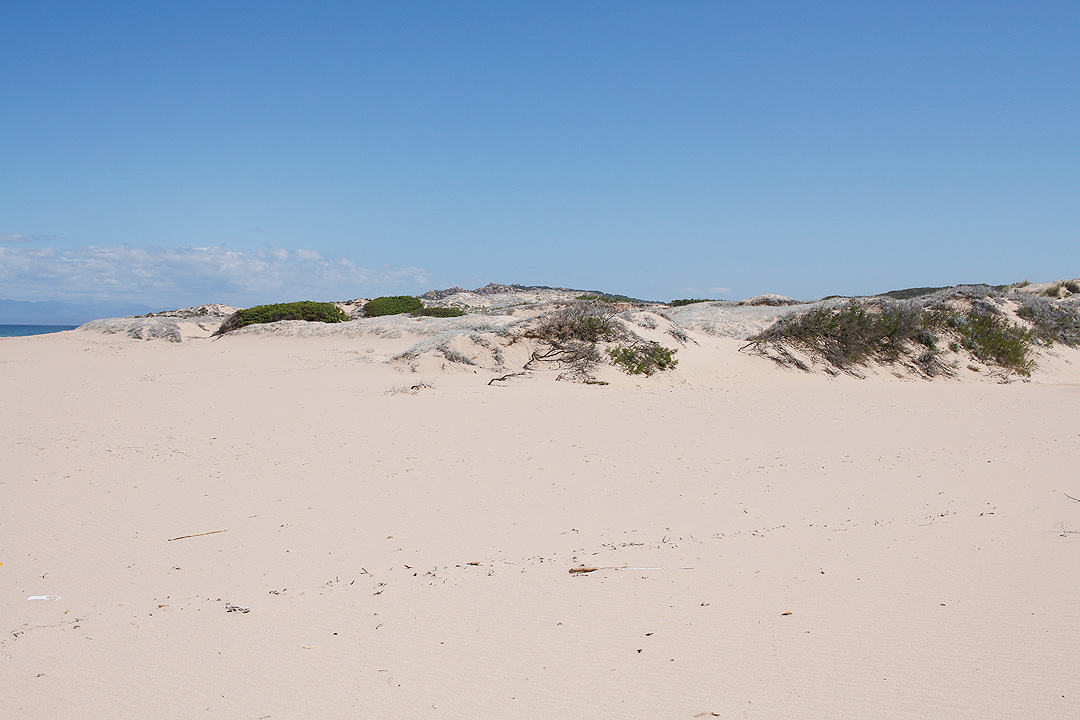 2 plaje salbatice din nordul Sardiniei - Monti Russu si Lu Littaroni 11 lu-litaronni-4