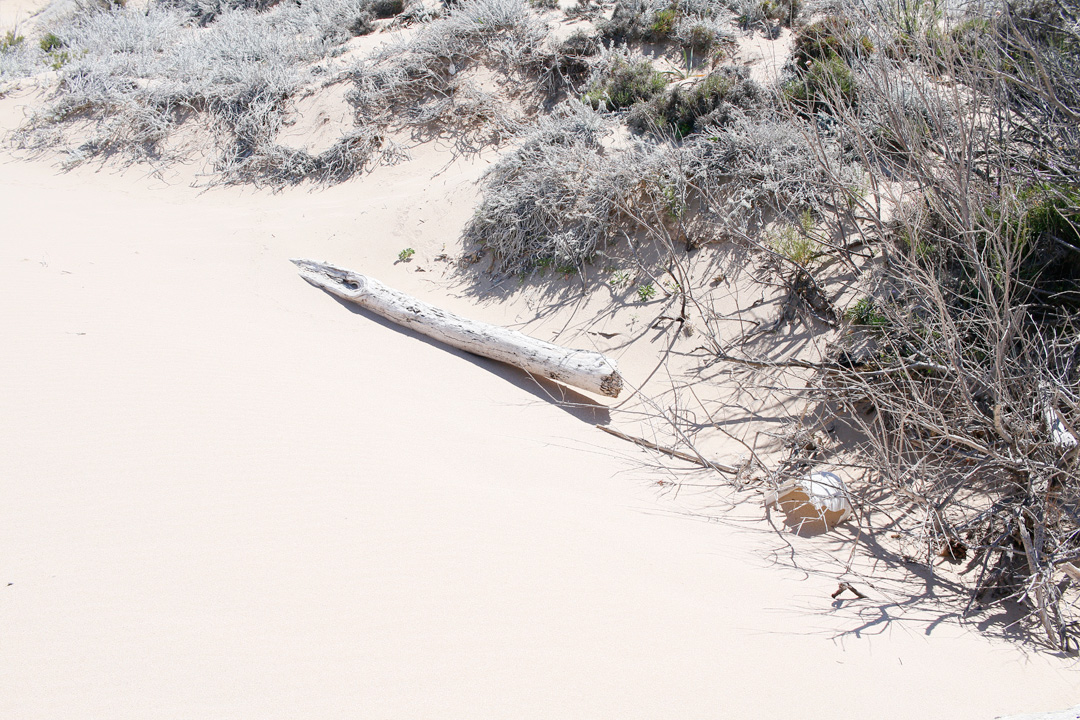2 plaje salbatice din nordul Sardiniei - Monti Russu si Lu Littaroni 15 lu-litaronni-9