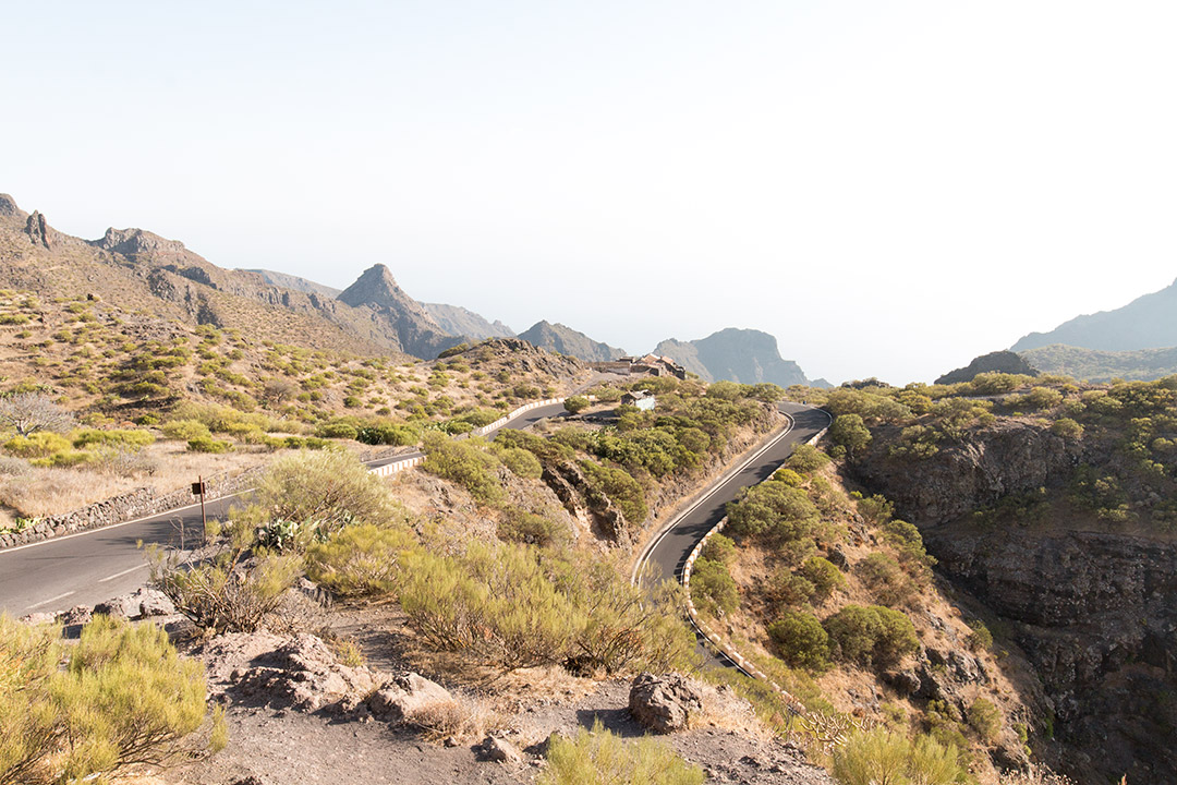 Buget de calatorie. Cat costa o vacanta in Tenerife 4 masca-1