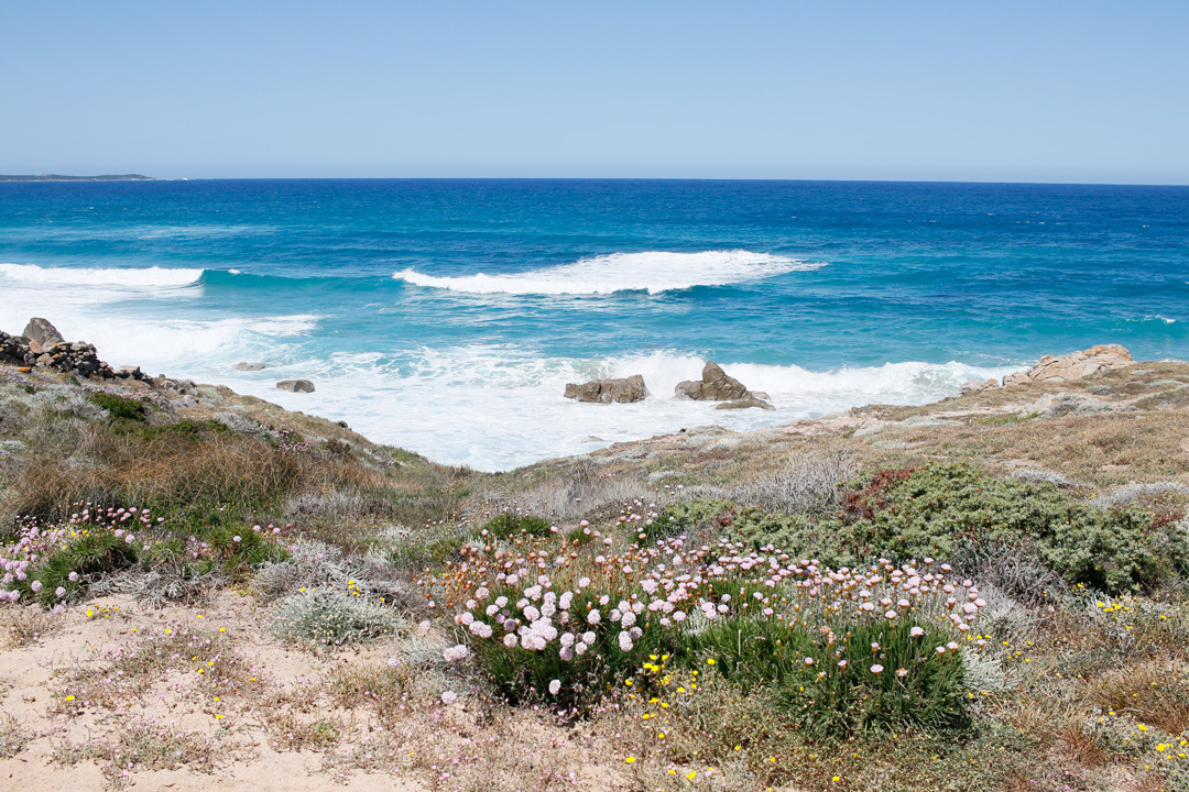 2 plaje salbatice din nordul Sardiniei - Monti Russu si Lu Littaroni 7 monti-russu-7
