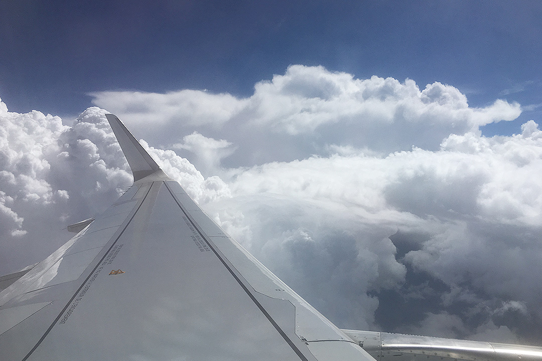 Lipsesc o saptamana. Am plecat la Rio, la Jocurile Olimpice 4 nori-3