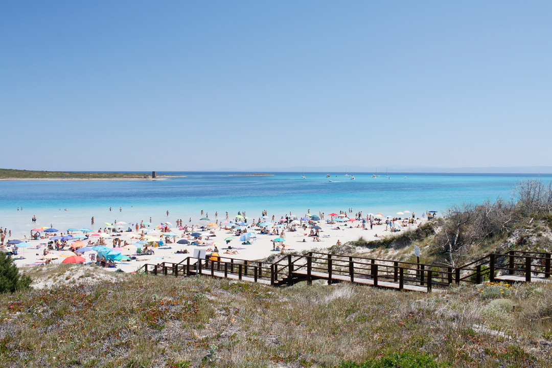 2 plaje ultraexotice din nordul Sardiniei - La Pelosa si Le Saline 6 pelosa-1