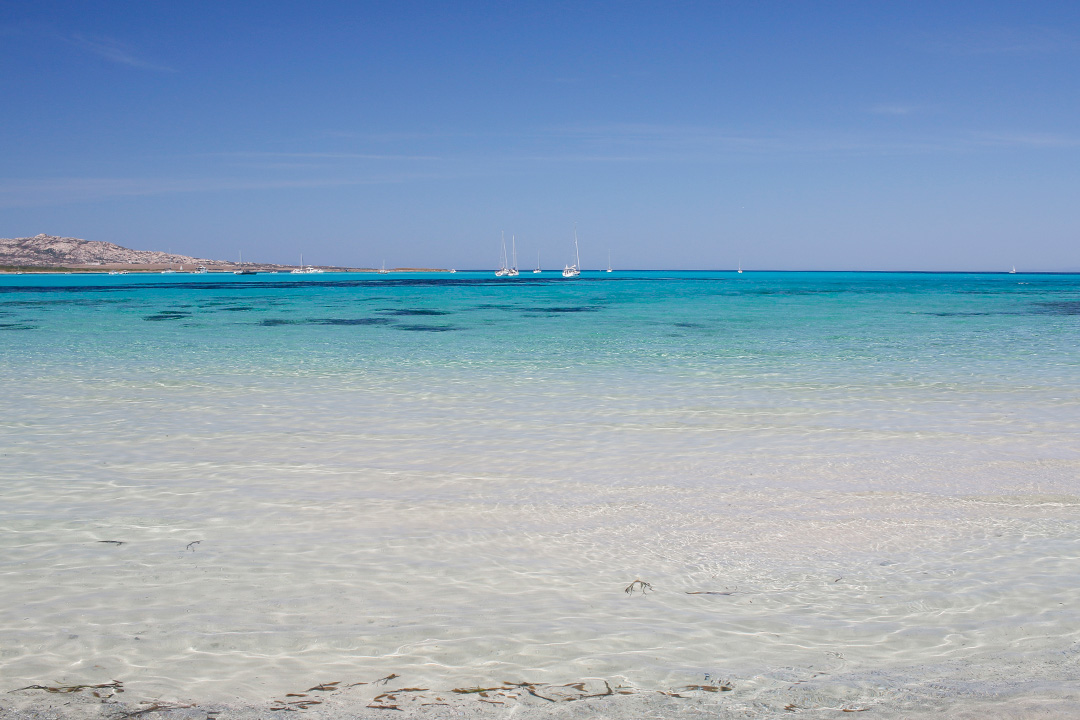 2 plaje ultraexotice din nordul Sardiniei - La Pelosa si Le Saline 5 pelosa-5