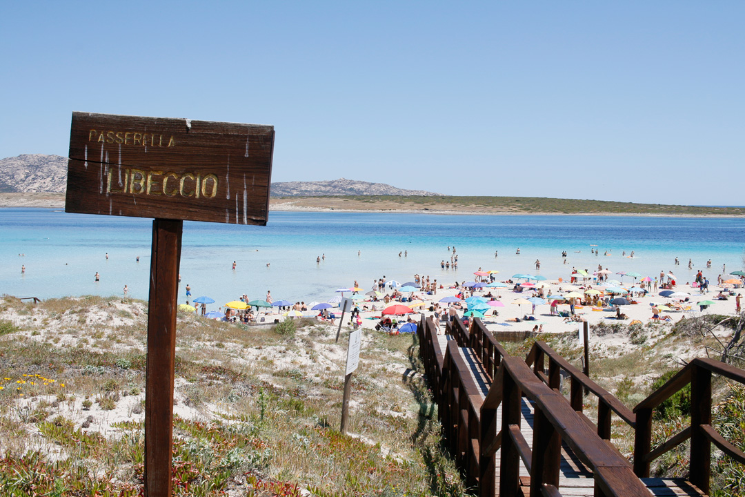 2 plaje ultraexotice din nordul Sardiniei - La Pelosa si Le Saline 2 pelosa-8