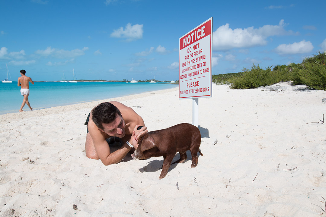 7 zile in Bahamas. Ce am vazut, unde am stat, cum ne-am organizat 12 plaja-porci-exuma-bahamas-7