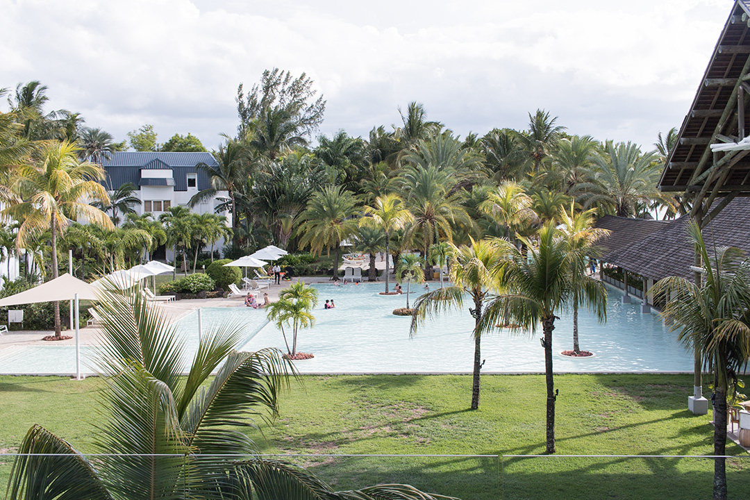 Am plecat in luna de miere. A ales doamna, Mauritius 2 ravenala-10