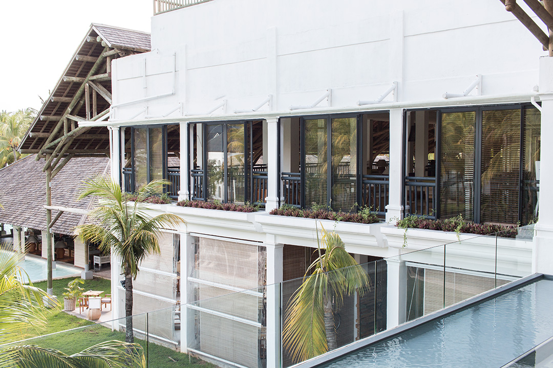 Am plecat in luna de miere. A ales doamna, Mauritius 11 ravenala-11