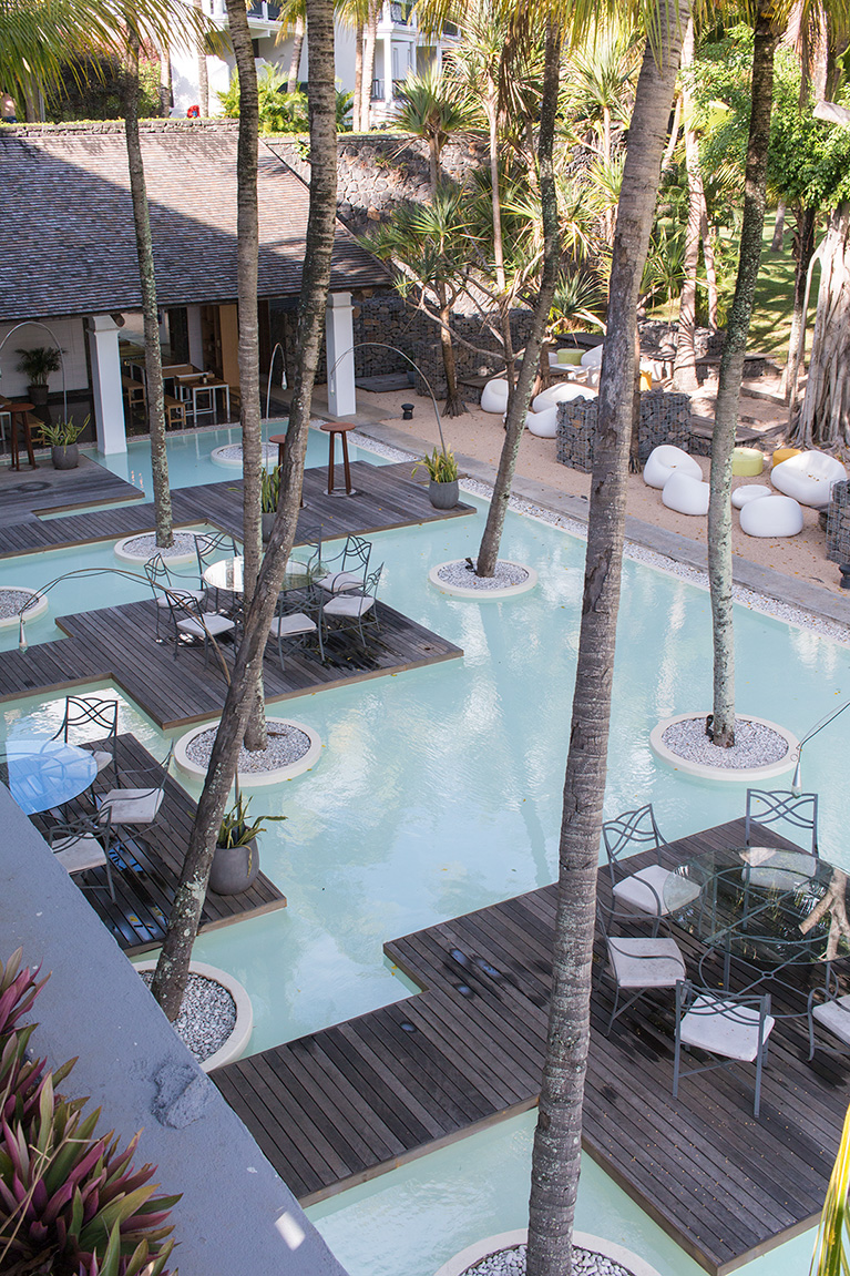 Am plecat in luna de miere. A ales doamna, Mauritius 4 ravenala-12