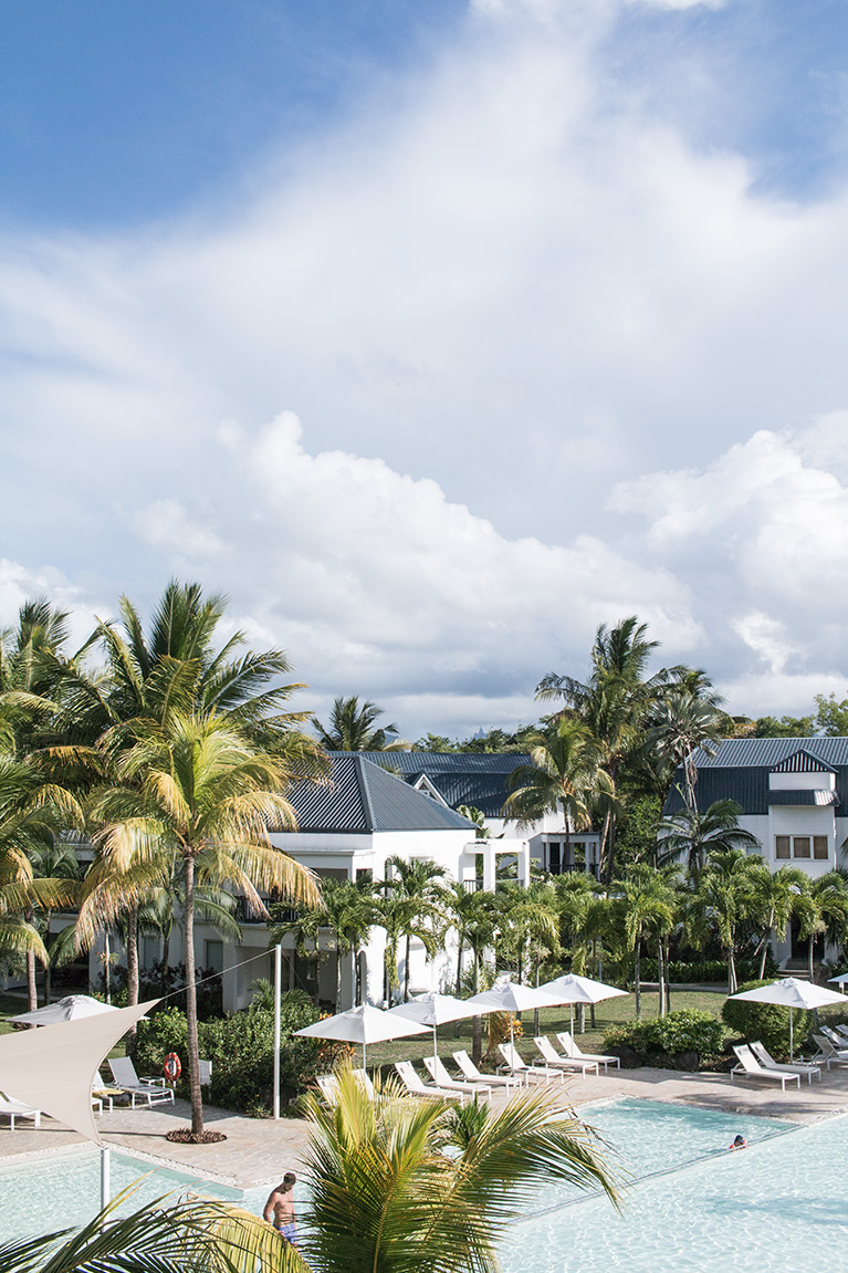 Am plecat in luna de miere. A ales doamna, Mauritius 3 ravenala-13