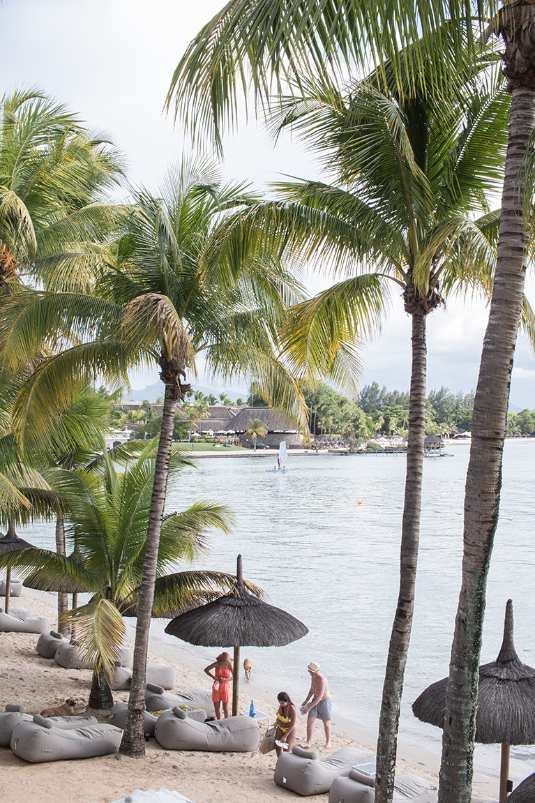 Am plecat in luna de miere. A ales doamna, Mauritius 6 ravenala-5