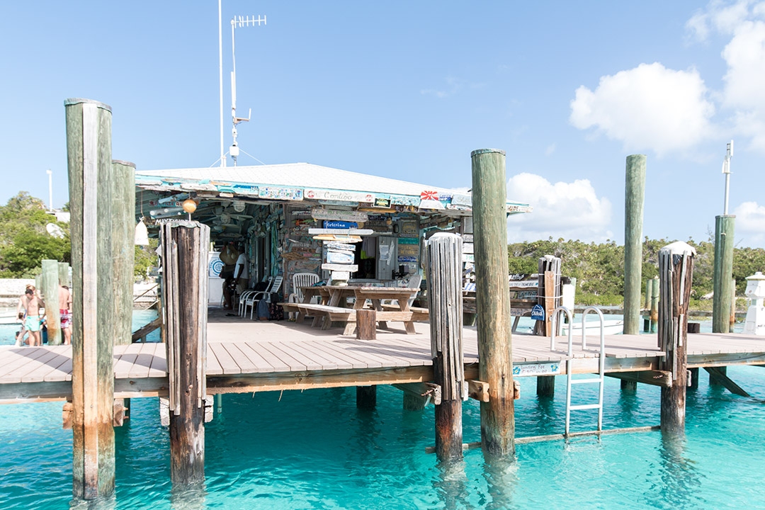 #SwimingPigs. Exuma Beach Bahamas, plaja cu porci care inoata 15 rechini-exuma-bahamas-1